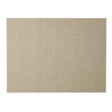 Diamond Kote® 3/8 in. x 4 ft. x 8 ft. No Groove Ship Lap Panel Sand