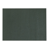 Diamond Kote® 3/8 in. x 4 ft. x 9 ft. No Groove Ship Lap Panel Emerald * Non-Returnable *