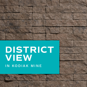 Evolve Stone - District View