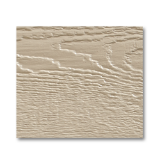 Oyster Shell