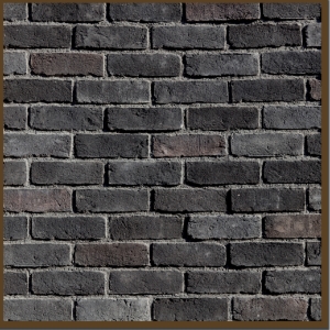 BRICK Ironside Tundrabrick Carry Board Sample - WSC Stock Profile