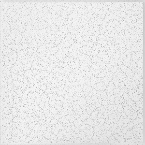 #934A Random Textured Tegular Edge Ceiling Tile 2 ft. x 2 ft.