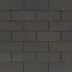 XT25 Shingle Nickel Gray