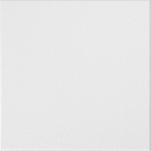 #231G Washable White Ceiling Tile 12 in. x 12 in. redirect to product page