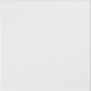 #231G Washable White Ceiling Tile 12 in. x 12 in.