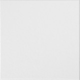 #231G Washable White Ceiling Tile 12 in. x 12 in.