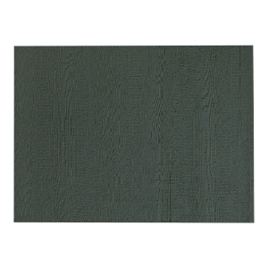 Diamond Kote® 3/8 in. x 4 ft. x 10 ft. No Groove Ship Lap Panel Emerald