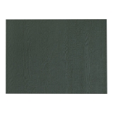 Diamond Kote® 3/8 in. x 4 ft. x 10 ft. No Groove Ship Lap Panel Emerald