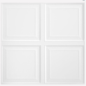 #1201 Raised Panel Ceiling Panel 2 ft. x 2 ft.