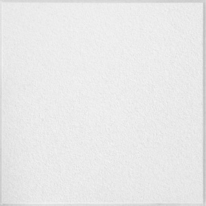 #954 Classic Fine Textured Ceiling Tile 2 ft. x 2 ft.