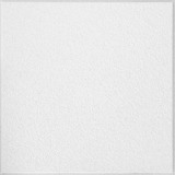 #954 Classic Fine Textured Ceiling Tile 2 ft. x 2 ft.