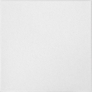 #271 Sahara Ceiling Tile 2 ft. x 2 ft.