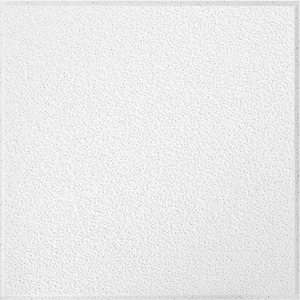 #241 Super Tuff Ceiling Tile 2 ft. x 2 ft.  * Non-Returnable *